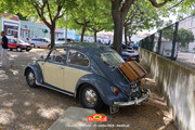 IMG-6759