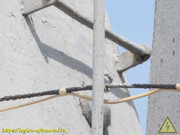 IMG-3546