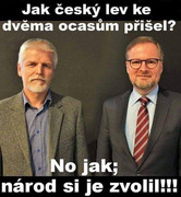 347126334_1206691266657336_3542090009003118366_n