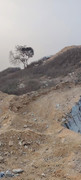 IMG-20260225-170302