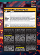 https://i.postimg.cc/rdt1p6XW/H-J-Ott-Nov-2026-(2).png