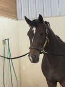 BEF47070-C97D-4C23-A492-14F03E41FAC6