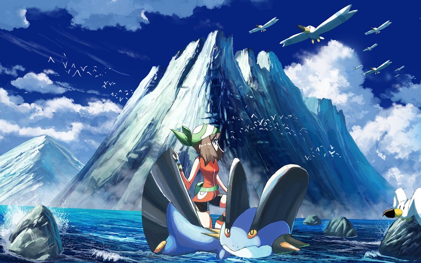 may-wingull-and-swampert-pokemon-and-3-m