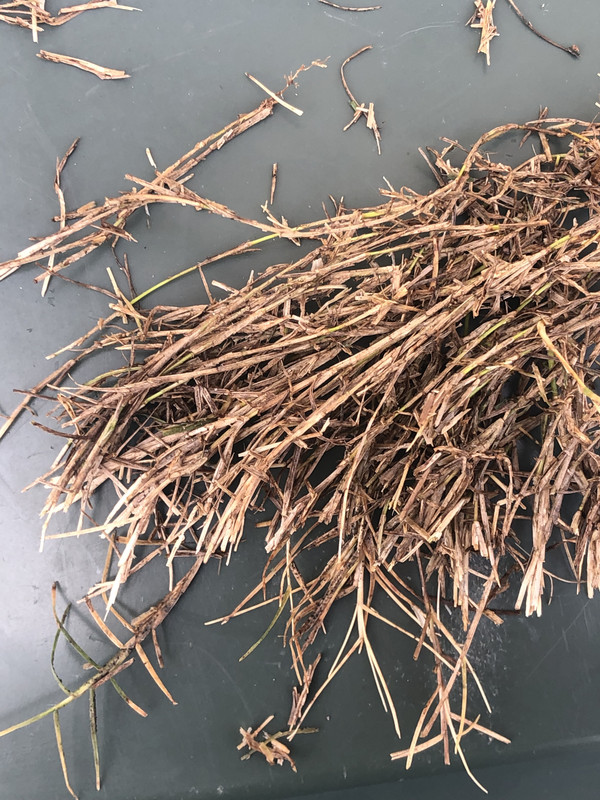 FCC4253B-66C4-4341-A963-EA02802383C5