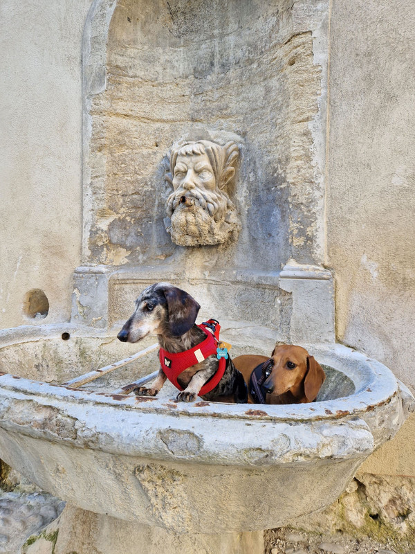 [Image: 20240510-075140.jpg]