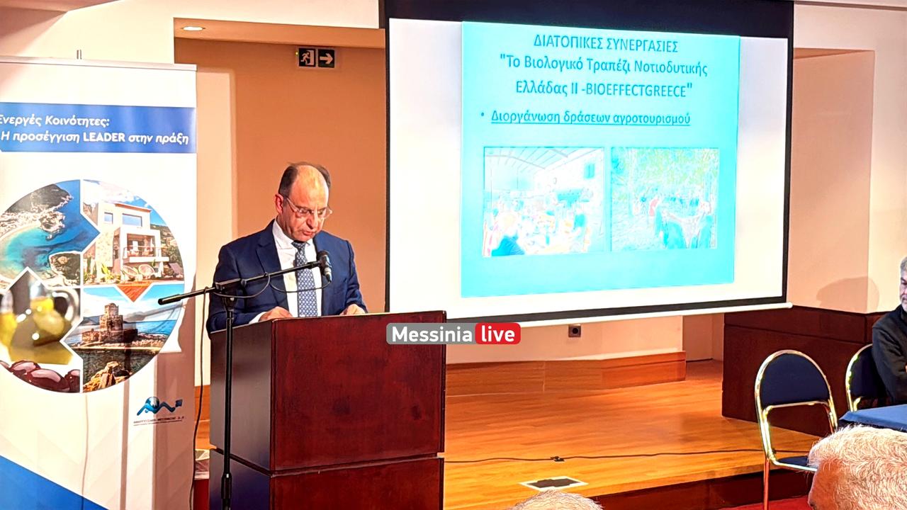 ANAPTYKSIAKH-IMG-4449