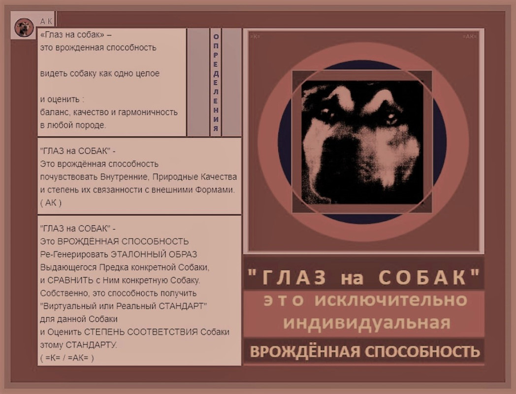 9i ГЛАЗ на СОБАК Врождённая способность 2