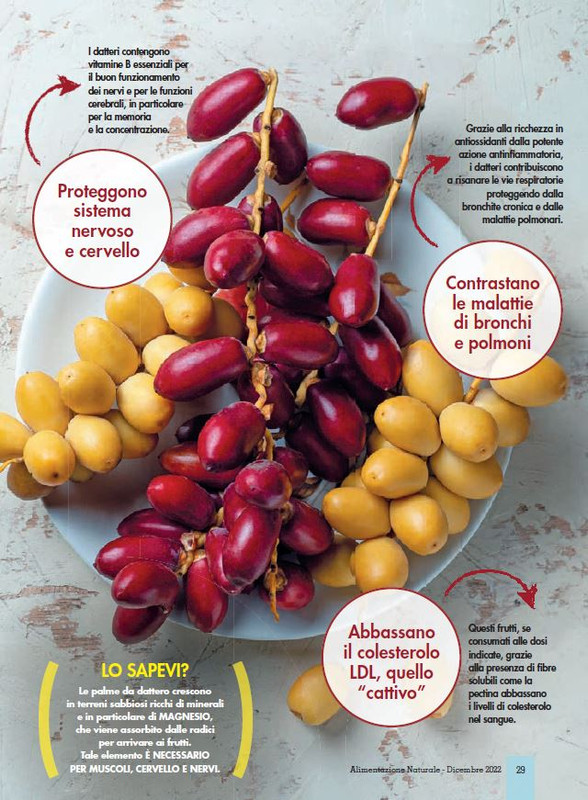 Alim Nat Dic 2022 (4)