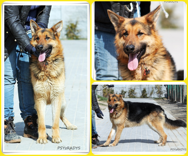 BeFunky-collage (15)