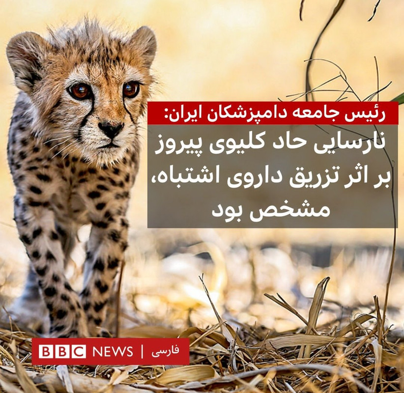 ۲۰۲۳۰۳۰۲_۰۷۳۲۴۶