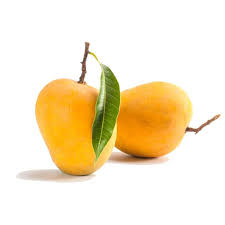 Alphonso Mango