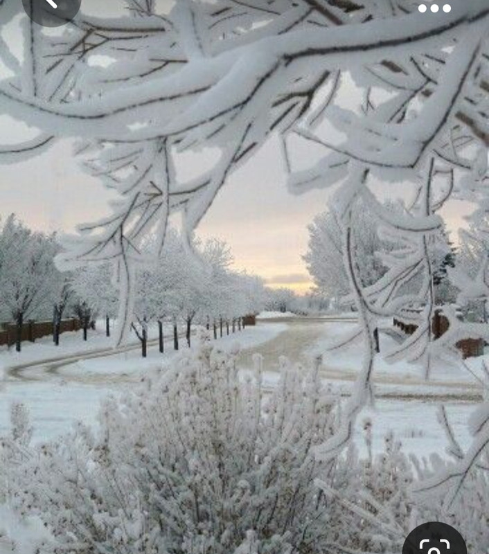 Screenshot_20231023_212701_Pinterest