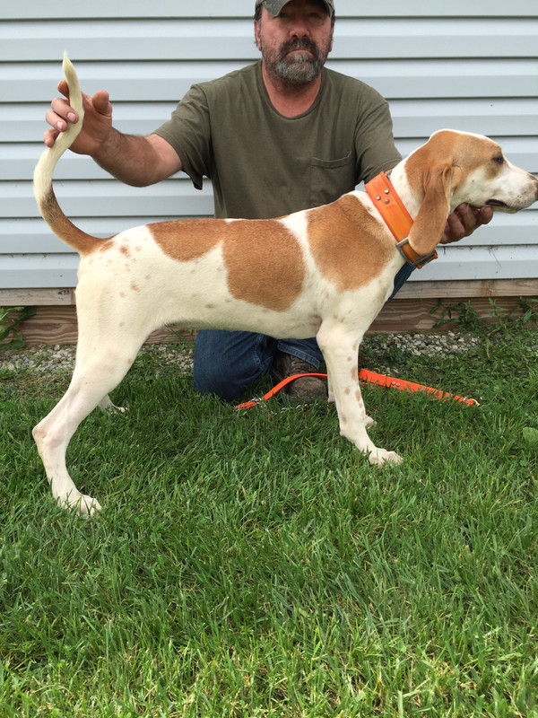 75141AB0-E727-4457-8775-A7D5F2BD15F1