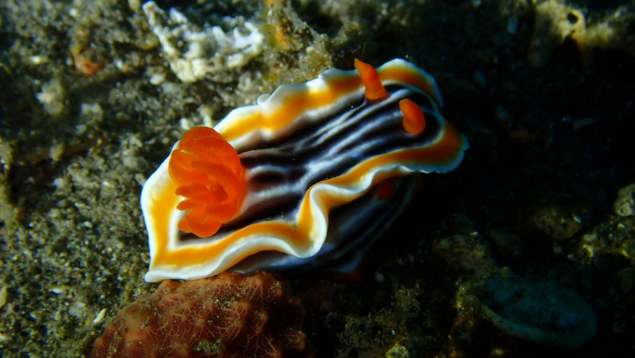 42B0957A-3EF1-4023-A8EF-D86930ECFA9B