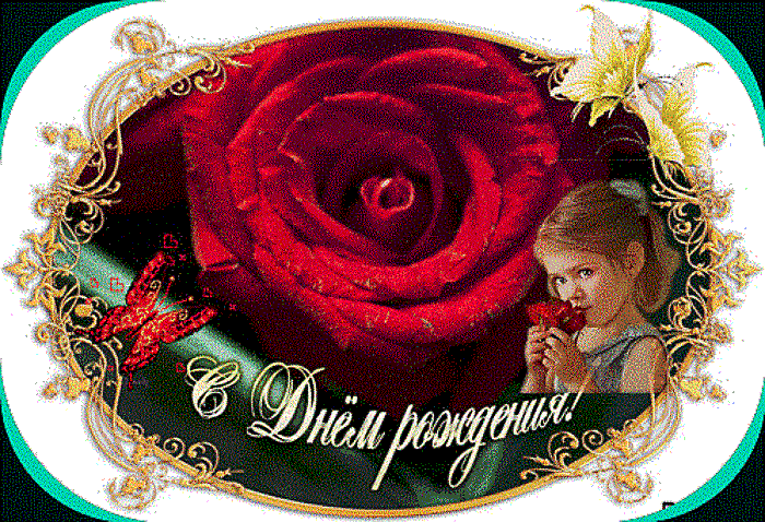 4797611-a9164-1-2-1-Copy