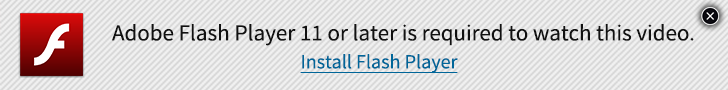 Flash Player Installer