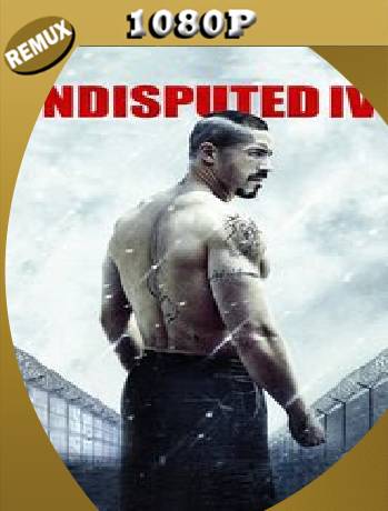 BOYKA UNDISPUTED IV (2016) Remux [1080p] [Latino] [GoogleDrive] [RangerRojo]