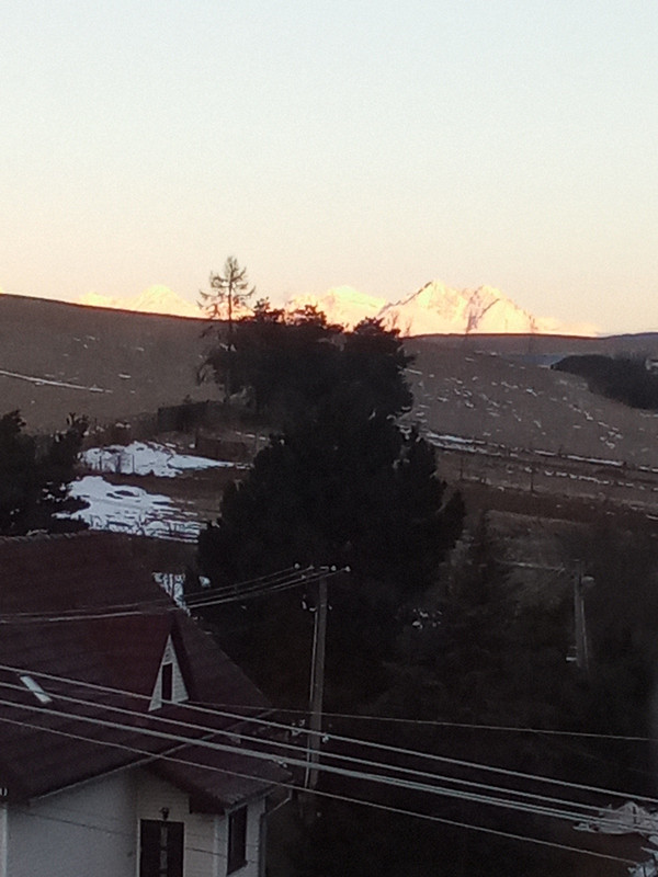 IMG_20240121_074031_604