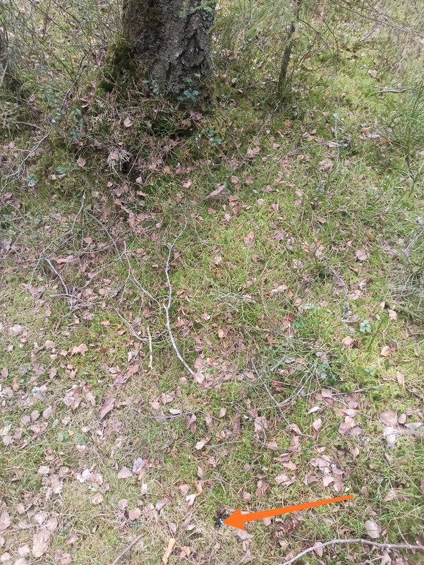 IMG 20260414 201550