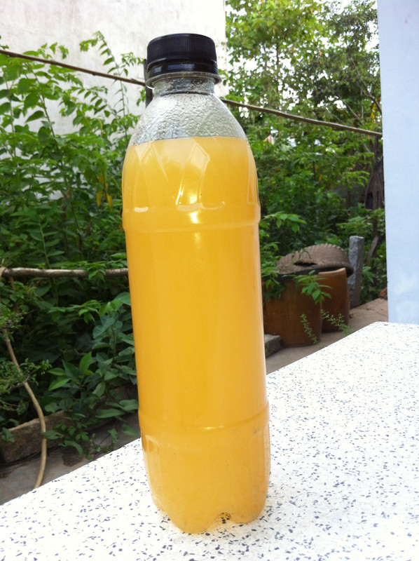 Bột cá làm phân bón, Bột cá, phân bón, phân vi sinh , thức ăn chăn nuô - 1