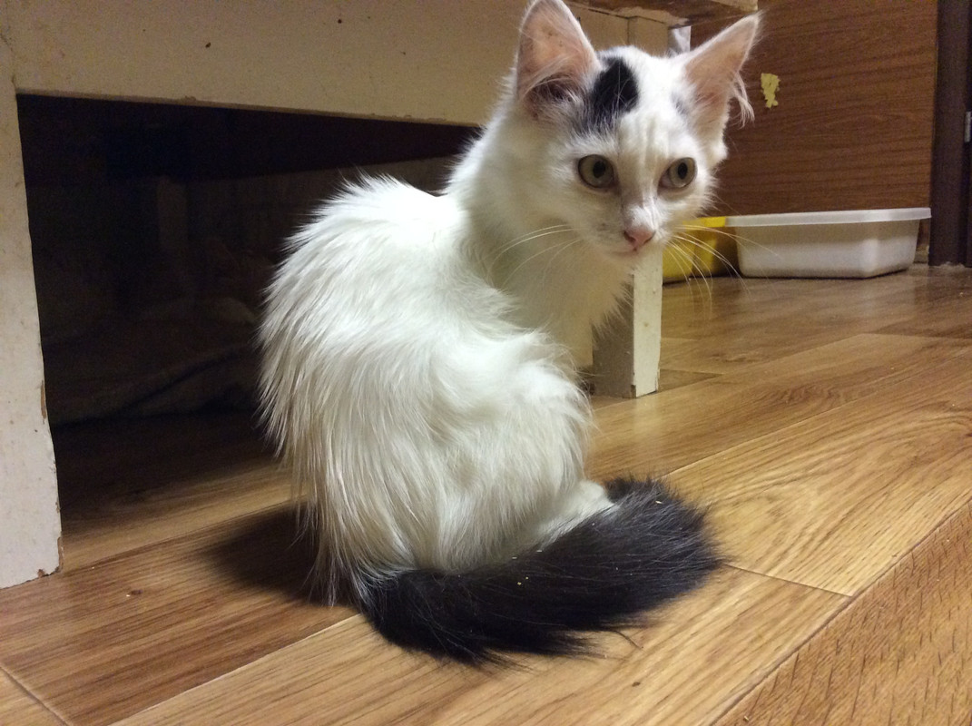 50164A70-6C0B-44CC-849B-A432AF29D55F