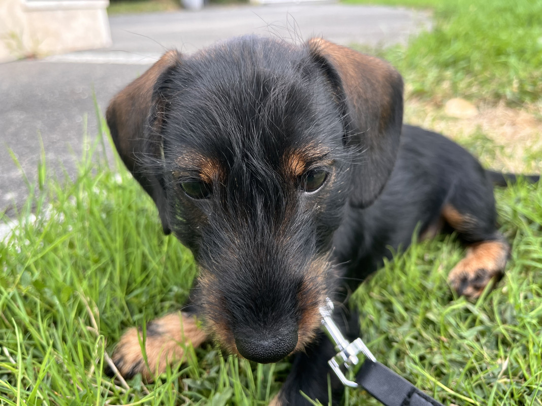 [Image: IMG-1802.jpg]