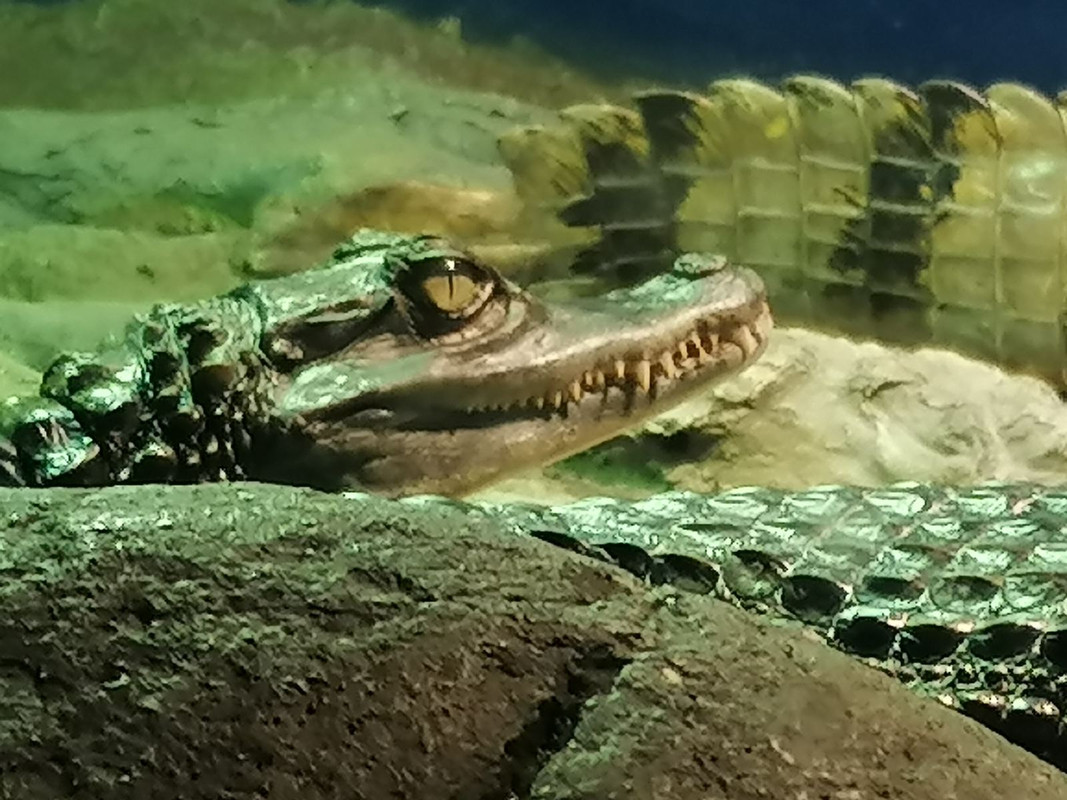 IMG-6af49c0e832a88f2323cbe0f78d86a29-V