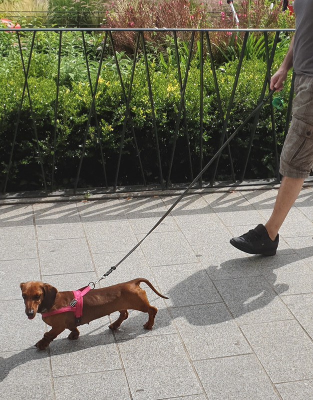 [Image: 20200615-192119.jpg]