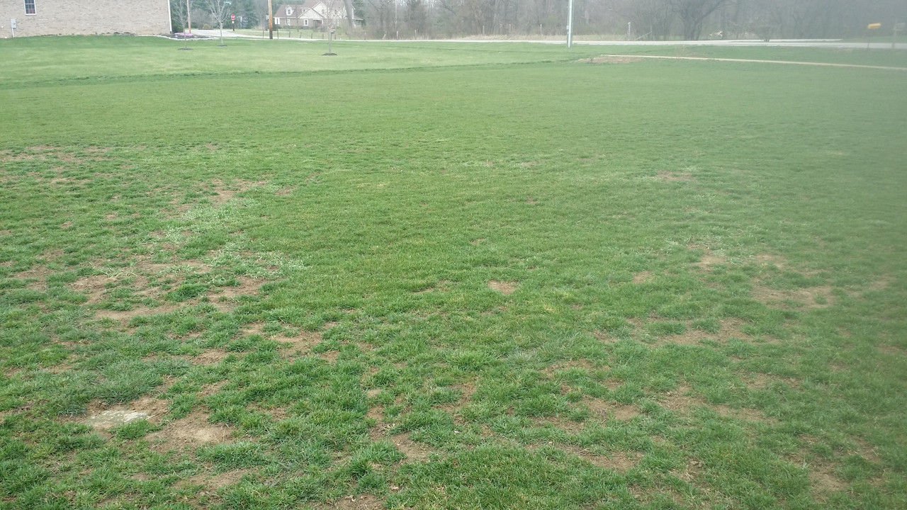 March 30, 2017 at 1215PM