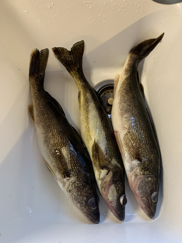 8BCE178B-0BD9-4145-BA8F-E756491EA280