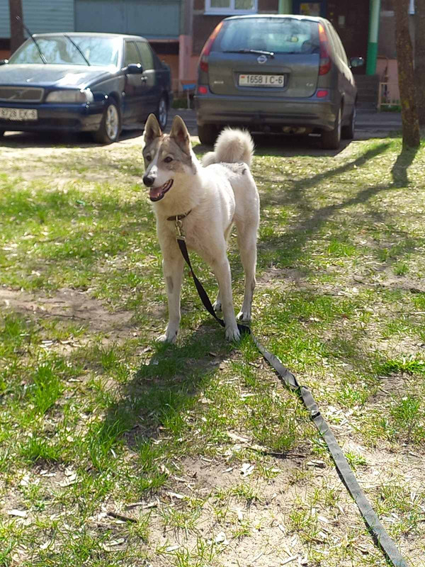 IMG-fc53872f655f7a860e0b73bd096859f3-V