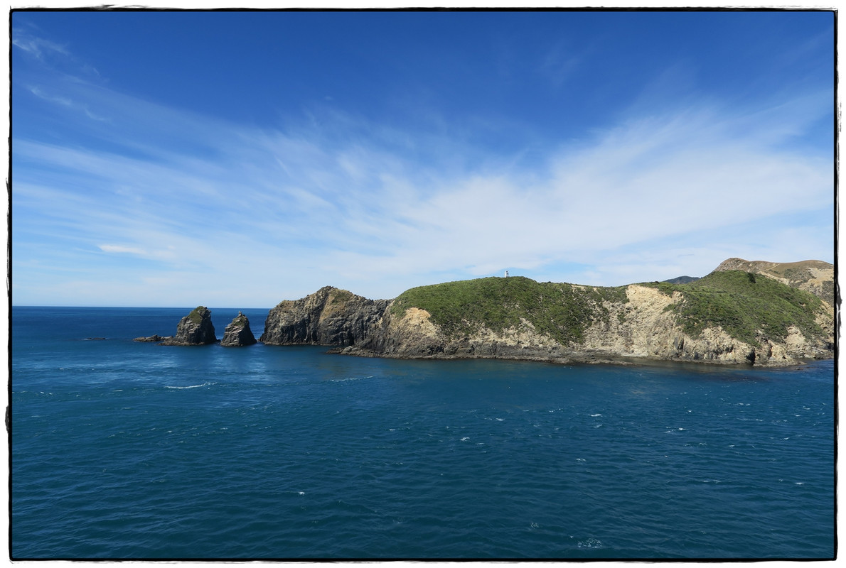 Escapadas y rutas por la Nueva Zelanda menos conocida - Blogs de Nueva Zelanda - Escapada a Picton (diciembre 2017): Queen Charlotte Track (2)