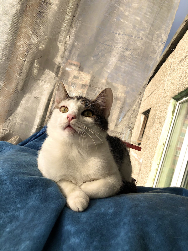 D94914D4-2C99-4C03-8330-663CE3E1F3A8