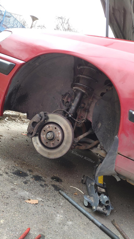 52750031_2346000119008725_5307280285824450560_o