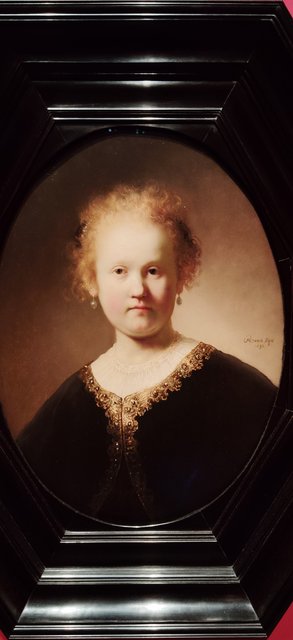 Escapada por Amsterdam - La Haya - Delft - Rotterdam - Leiden - Londres - Blogs de Europa - Museo Mauritshuis, decepcionante Depot Boijmans y callejeo por Delft y Leiden (145)