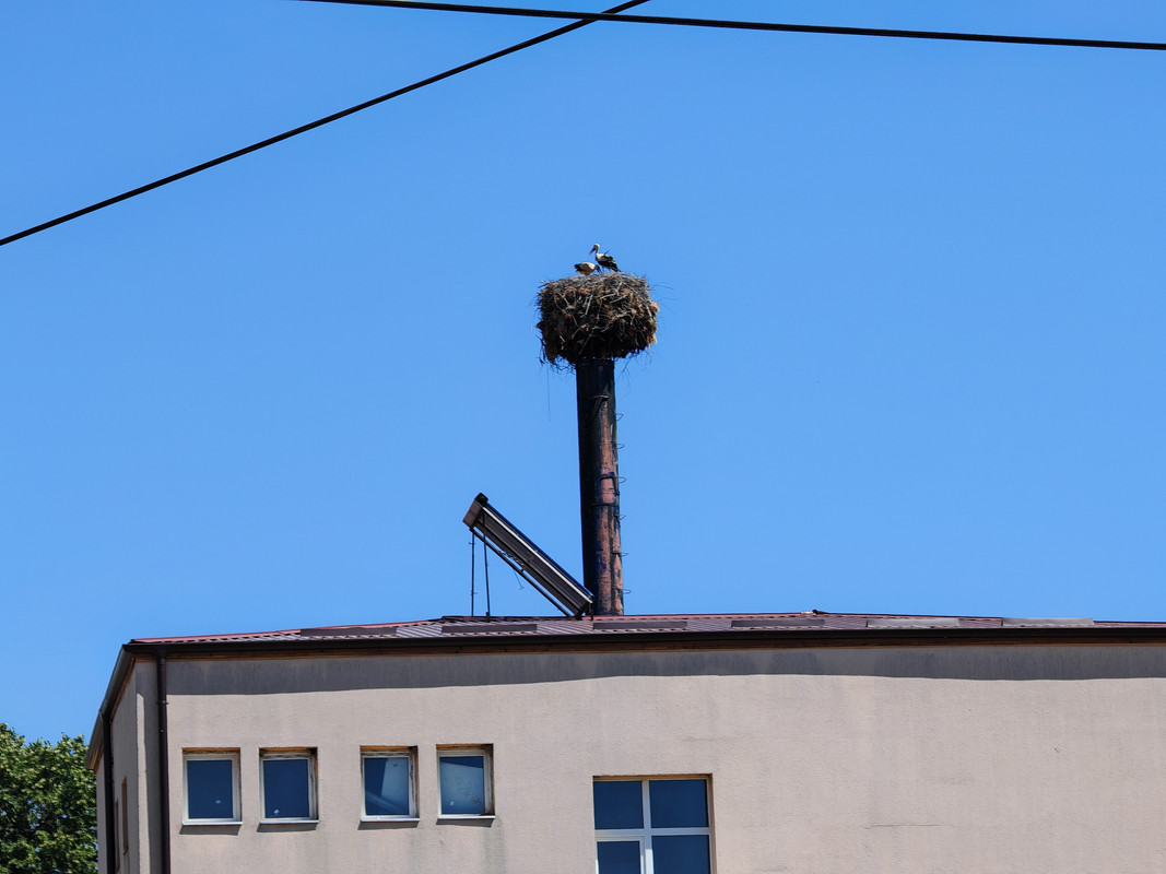 5 zoom