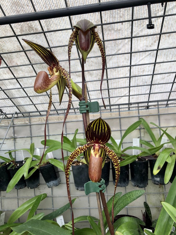 20221209_002009780_iOS