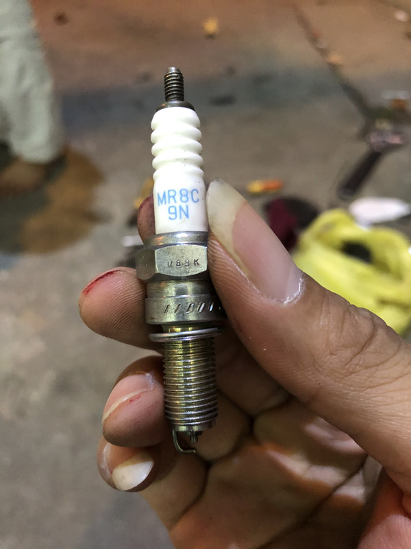 8917D9D9-E332-4F1A-AD7F-FEA30386BC4A