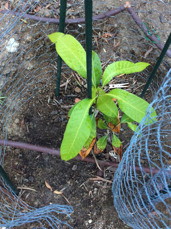 CCE46E2E-58A4-4BD3-BCFA-7EC58D6FA269