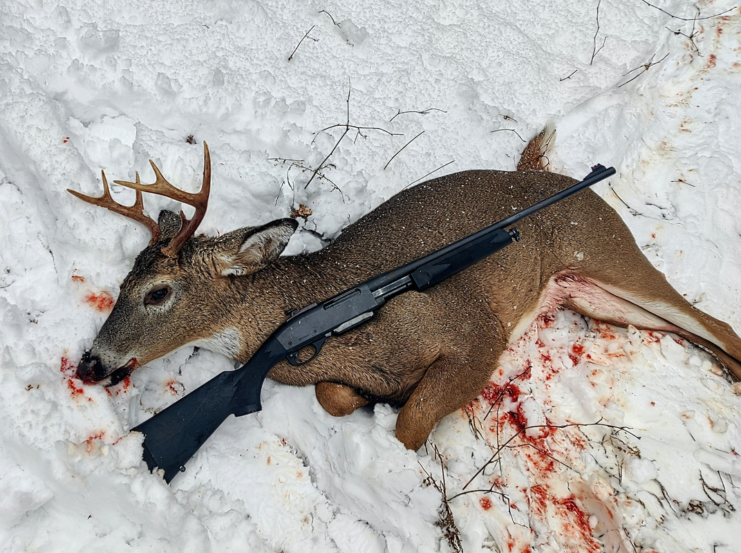 IMG_20241122_134404~2