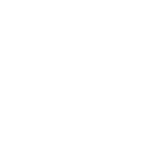 Download Icon