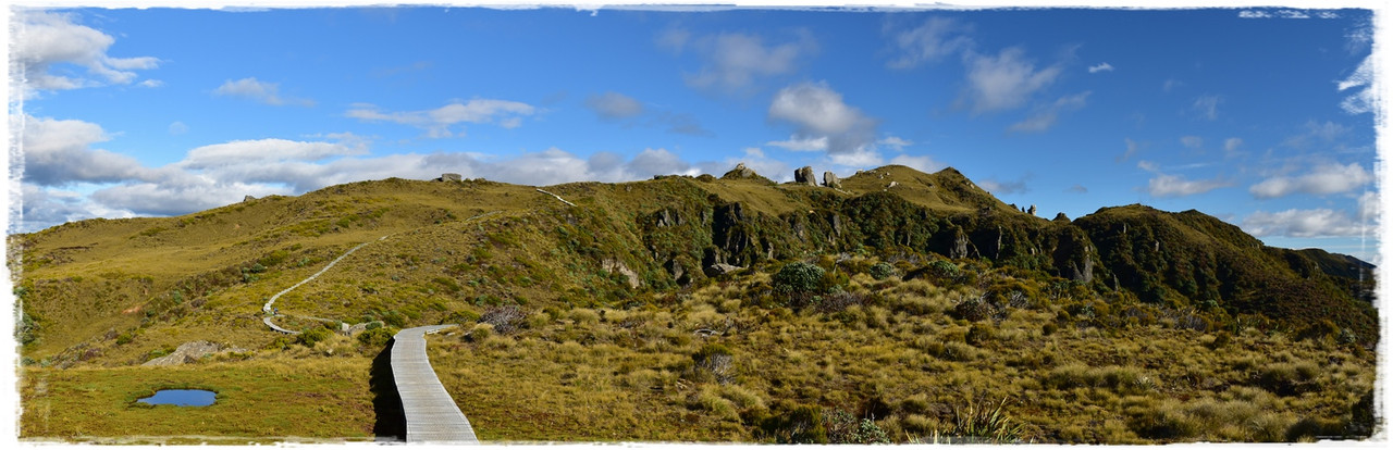 Escapadas y rutas por la Nueva Zelanda menos conocida - Blogs de Nueva Zelanda - Fiordland NP: Humpridge Track (febrero 2021) (40)