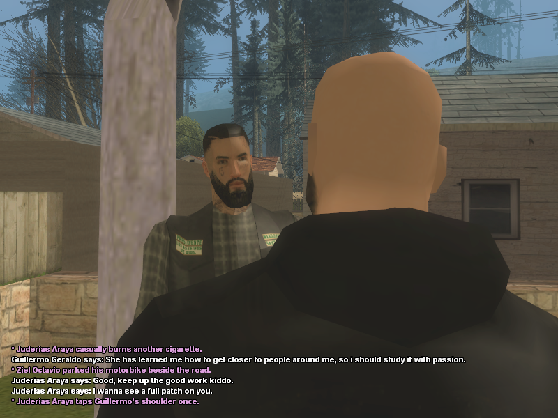sa-2.png