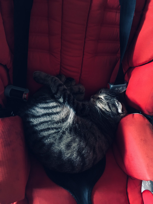 1A6DAD78-58DC-4C18-ABCA-E8BCE1928455