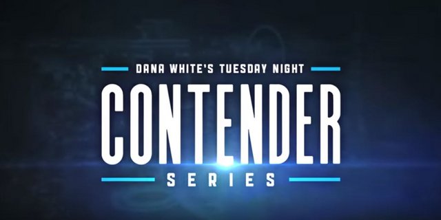  Watch UFC Dana Whites Contender 