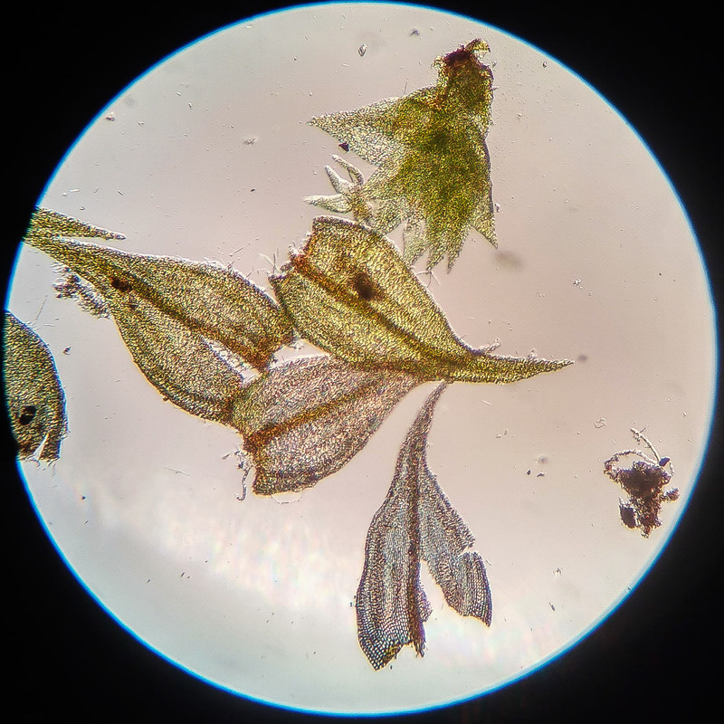 IMG 20250615 221425 HDR