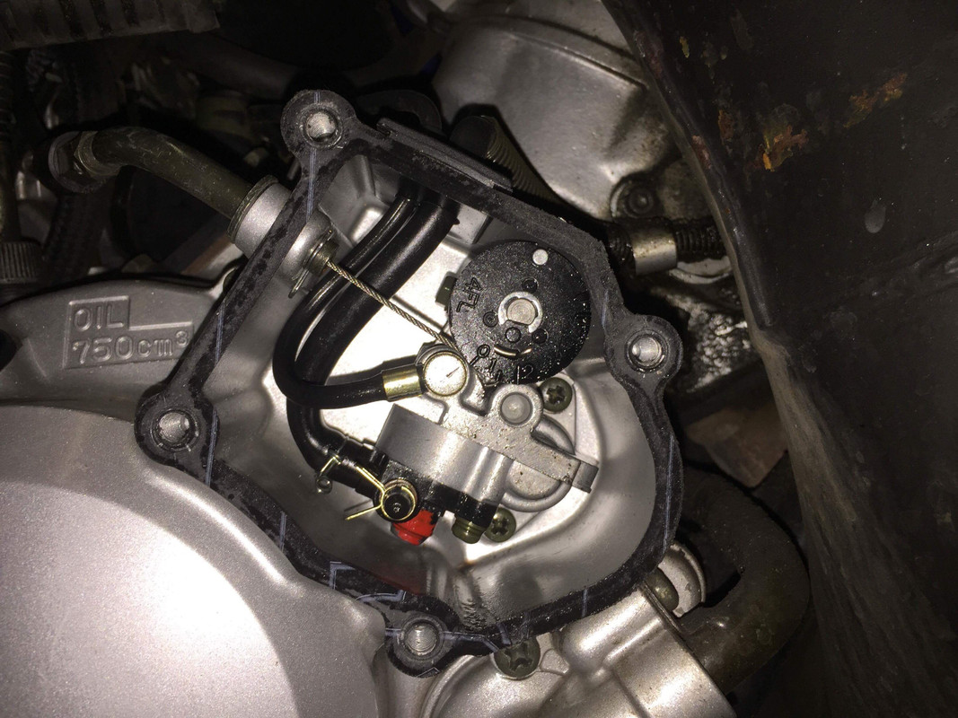 C357E8DC-5D85-4266-8530-FDA36F940632