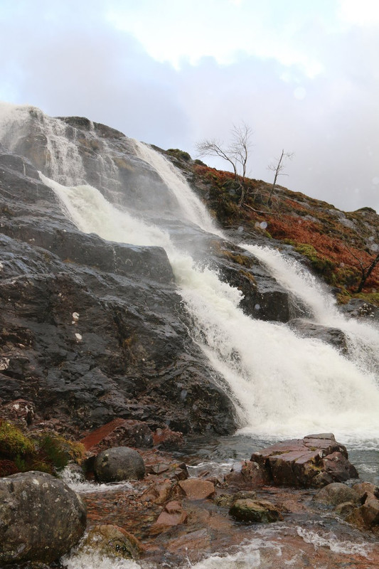 A4A120EC-2CBF-4095-A05B-0088CCFCADC6