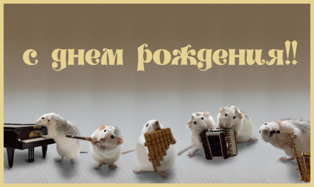 7c86c77b7463