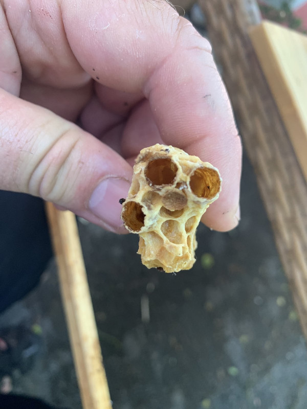 AF46D340-B2F6-4267-83E4-2A1C73C752F2